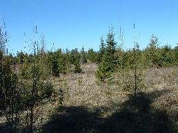 view land for sale in north idaho