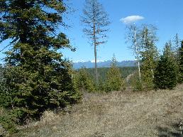 View property in north idaho